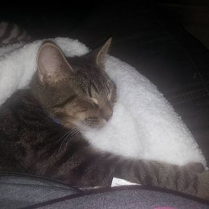 Meet your Posher, Sally